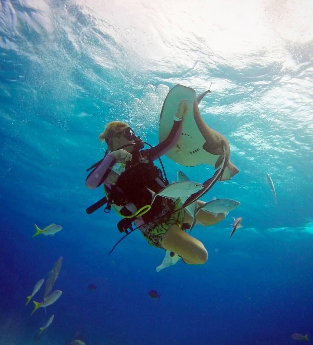 Grand Cayman Diving Adventure