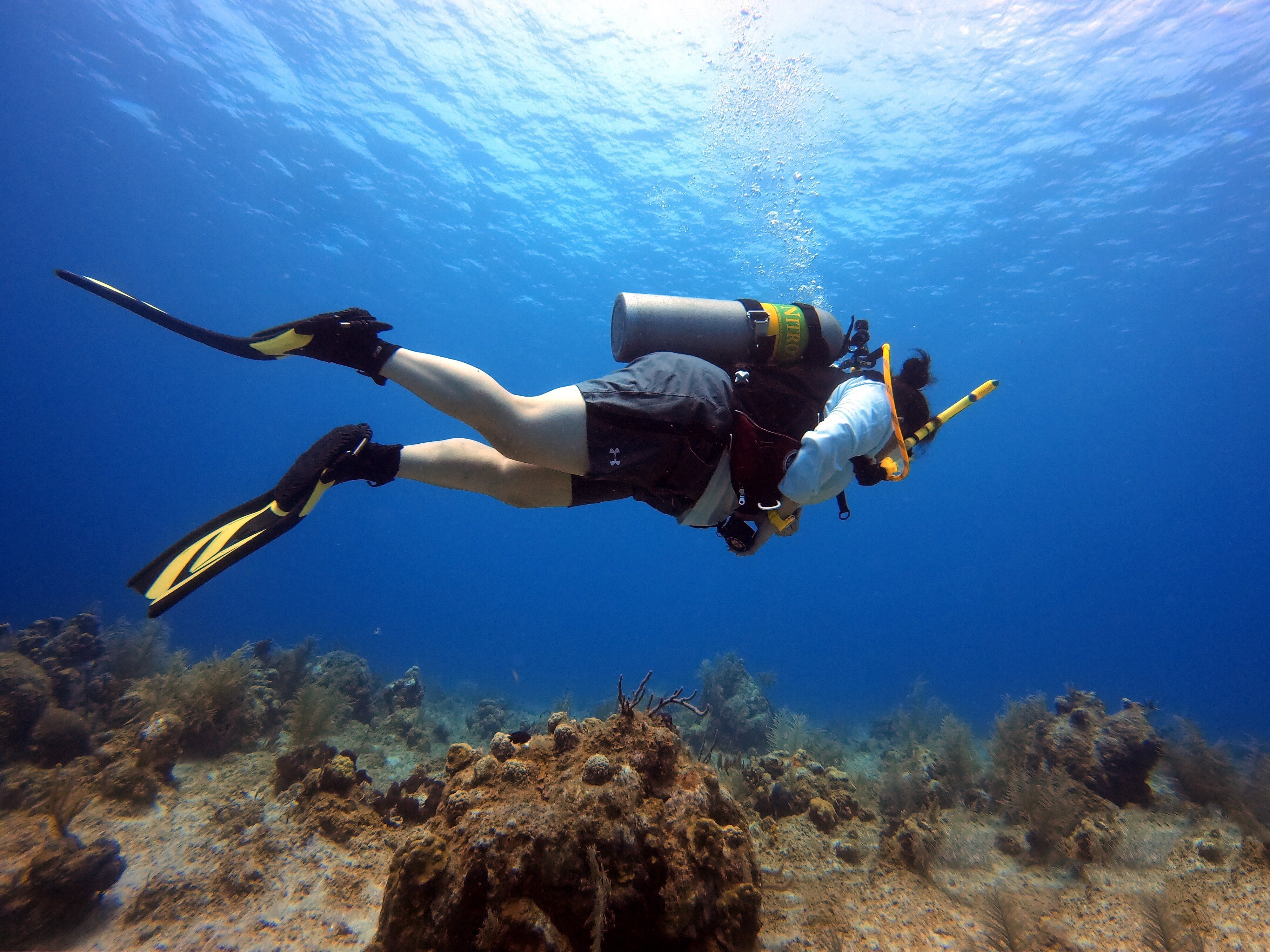 Indonesia Diving Safari
