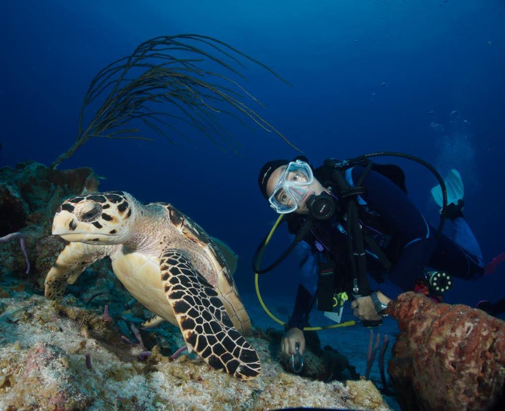 Maldives Diving Experience